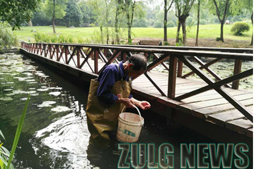 1505974095131617.jpg 1505808463911757.jpg