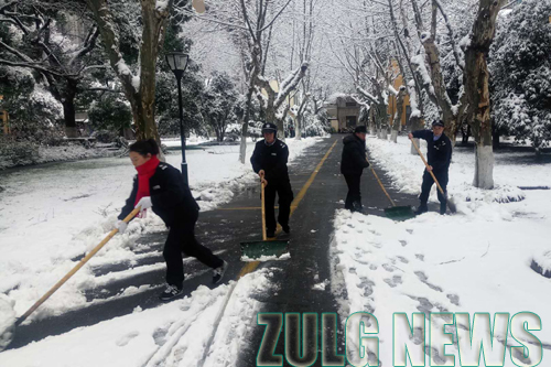 1517821448119800.jpg 1517384564662560.jpg